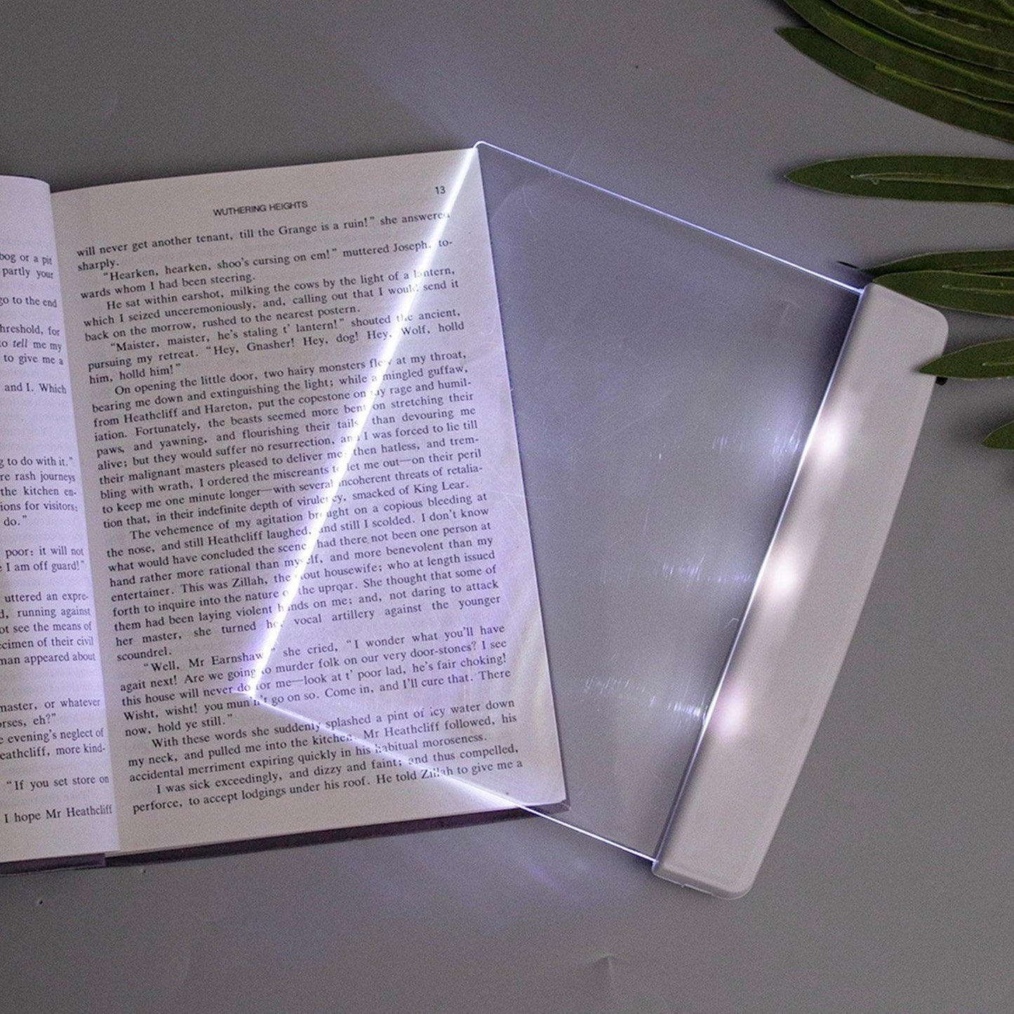 Flat Board Reading Light