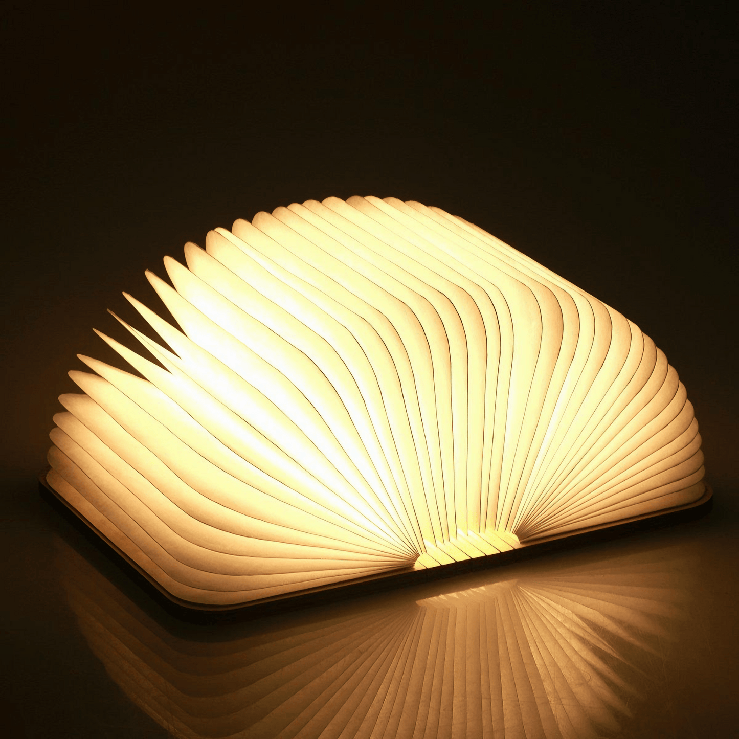 Wooden Folding Book Lamp
